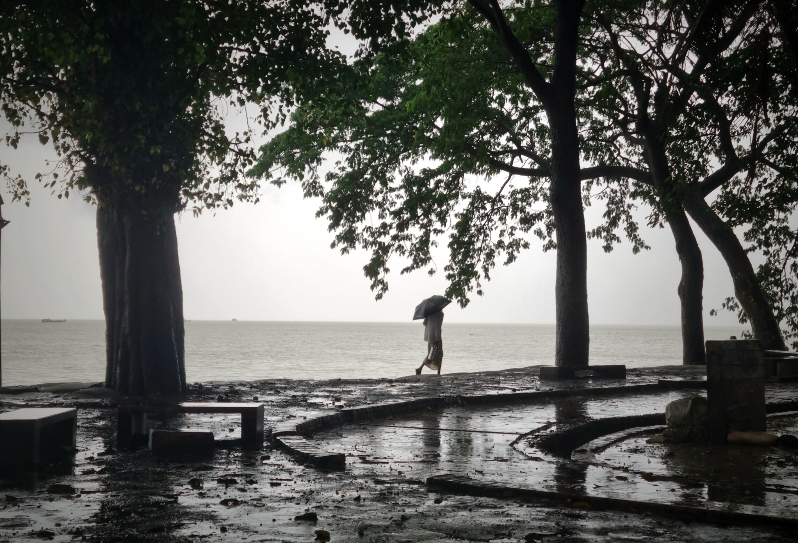 What to Expect When Visiting Fort Kochi in Monsoon